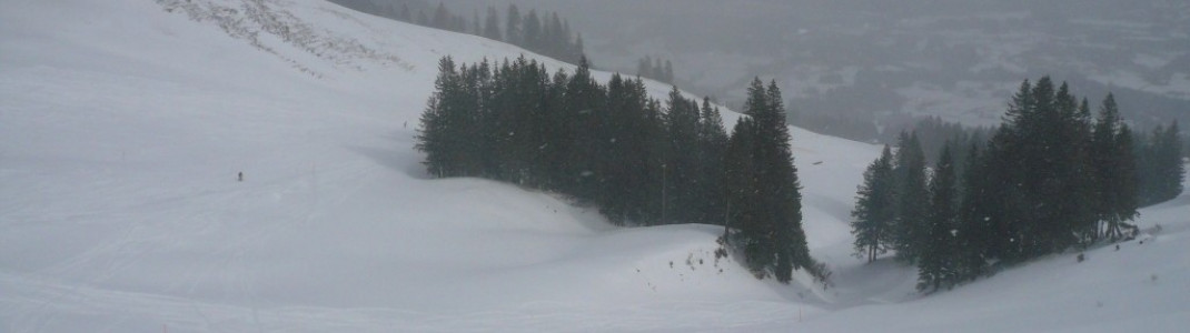 Horngratabfahrt (4)!