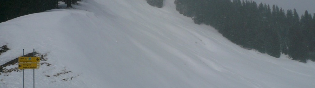 Weiherkopf FIS-Herrenabfahrt vom Bolsterlanger Horn (1586 m) aus gesehen!