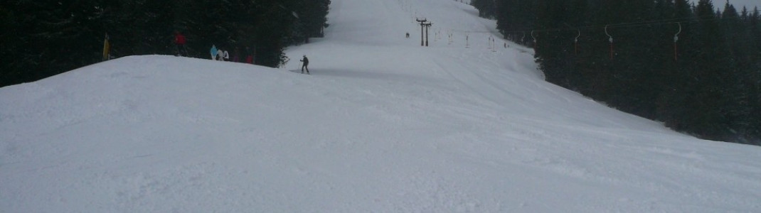 Knobel FIS-Slalom-Strecke!