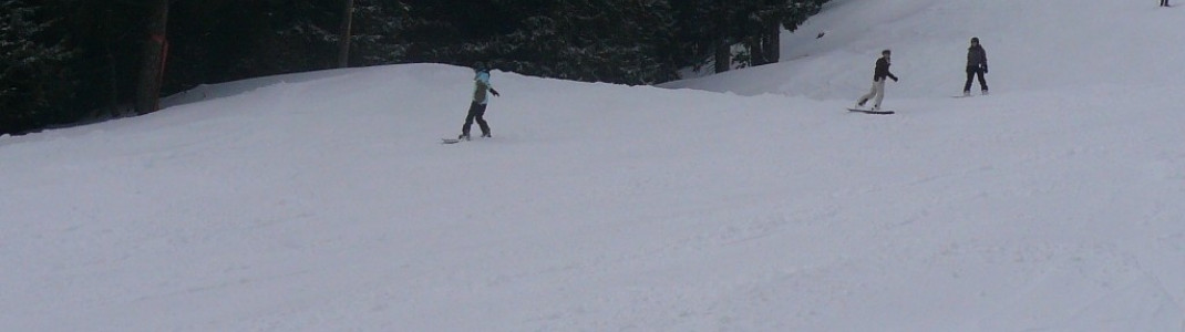 Boarder auf der Knobel FIS-Slalom-Strecke (3)!