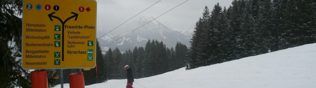 Wegweiser zur Freeride-Piste (Ski- und Boardercross 5 sowie Variante Laubbrunnen 11)!