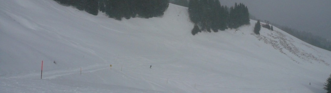 Blick vom Bolsterlanger Horn (1586 m) auf die Weiherkopfabfahrt (2)!