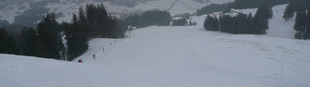 ... Mittelstück der Knobel FIS-Slalom-Strecke (3)!
