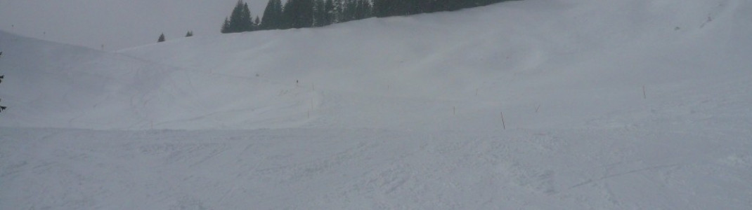 Weiherkopf FIS-Herrenabfahrt!