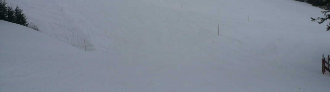 Weiherkopfabfahrt (2)!