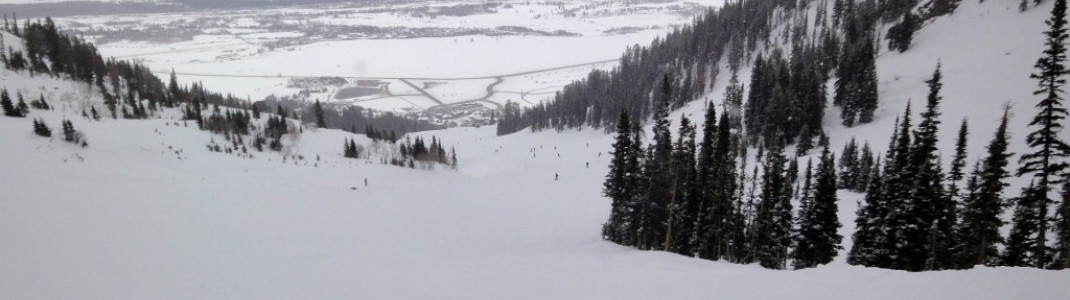 Blick auf die mittelschwere (in USA blau markierte) Piste Amphitheater! Mit etwas Vorsicht können Anfänger auch die blau markierten Pisten unterhalb der Bridger Gondola meistern.