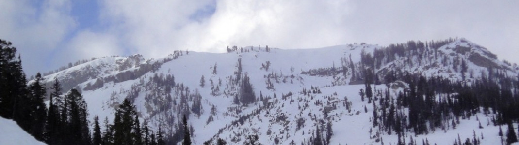 Leichte Bewaldung und zahlreiche Felsvorsprünge machen das Terrain abseits der präparierten Pisten von Jackson Hole zur echten Herausforderung.