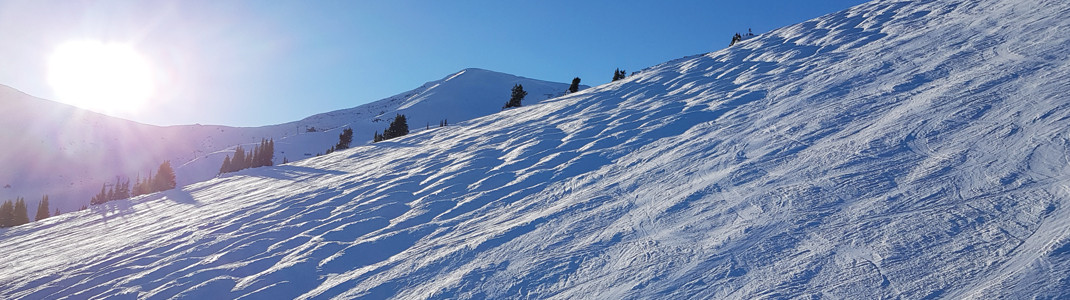 Skifahrer schätzen die Pistenvielfalt in Marmot Basin