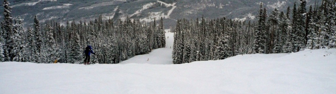 Last Hoot-Piste!