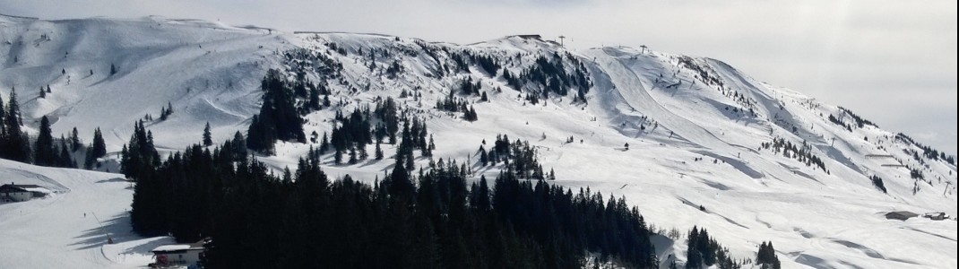 Am Pengelstein finden sich viele einfache Pisten
