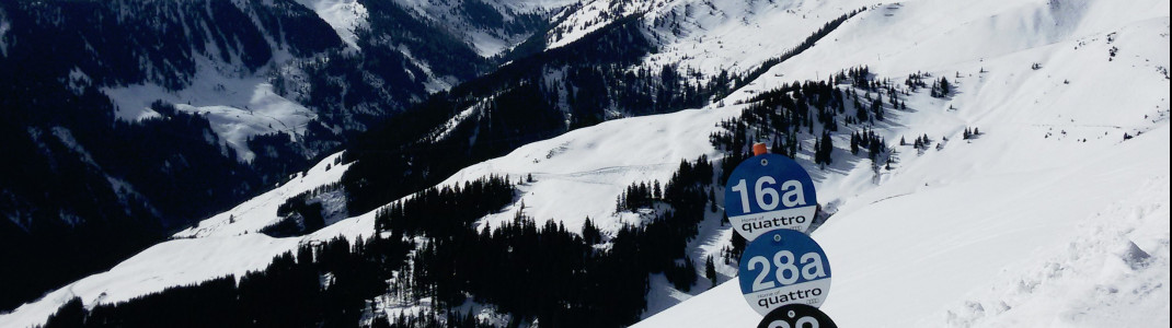 Anfänger und Könner finden am Steinbergkogel die richtige Piste