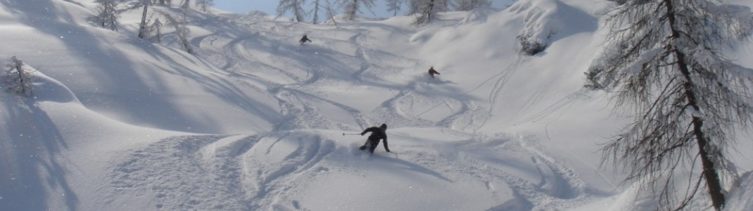 Tiefschnee vom Feinsten!