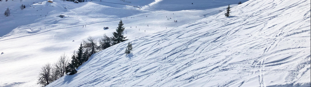 Ein richtiges Freeride-Gebiet ist in Ladurns allerdings nicht vorhanden.