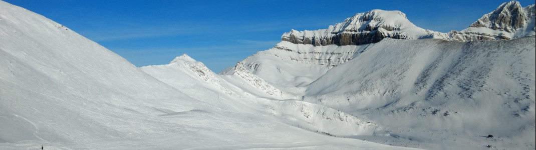 Nueschnee vorausgesetzt herrschen in Lake Louise beste Powderbedingungen