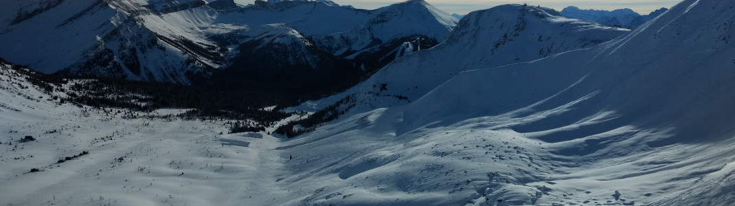 Unberührte Tiefschneehänge in Lake Louise&#39;s Back Bowls