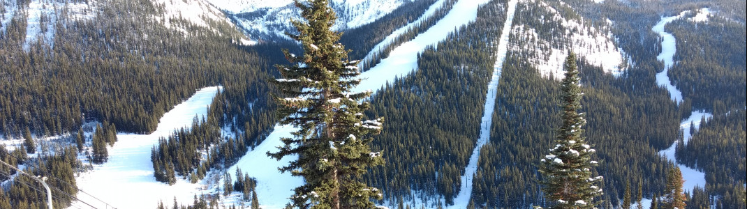 Steile Abschnitte wie hier unter dem Larch Express Chair freut Könner des Skisports