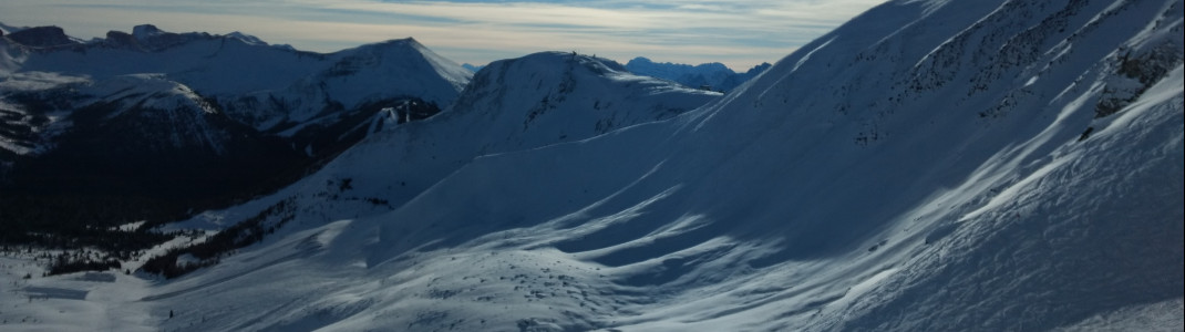 Schon gut, aber noch nicht perfekt - die Back Bowls benötigen jede Menge Schnee für ungetrübten Freeride-Spaß