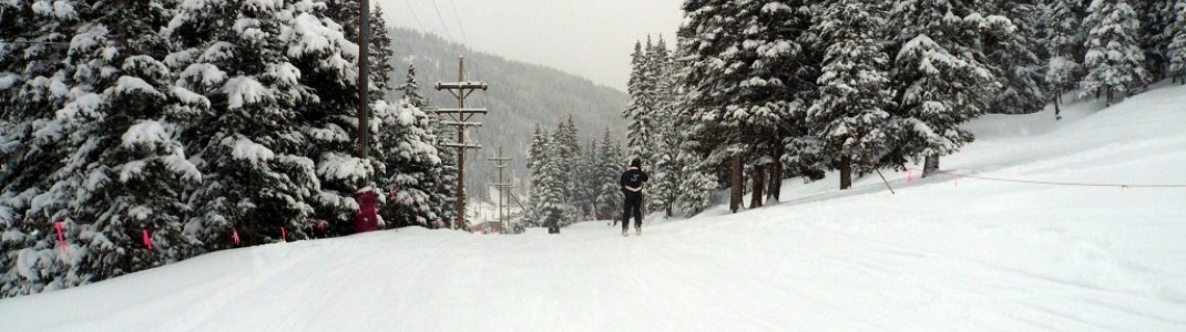 Lower Creek Trail