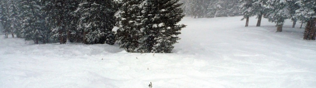 Excelleration-Piste!