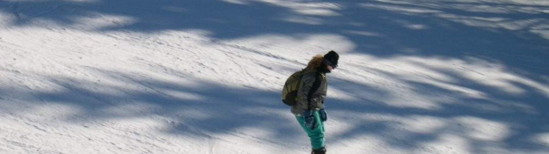 Snowboarder kommen nicht zu kurz