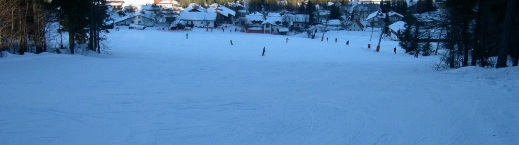 Abfahrt des kleinen Almberg