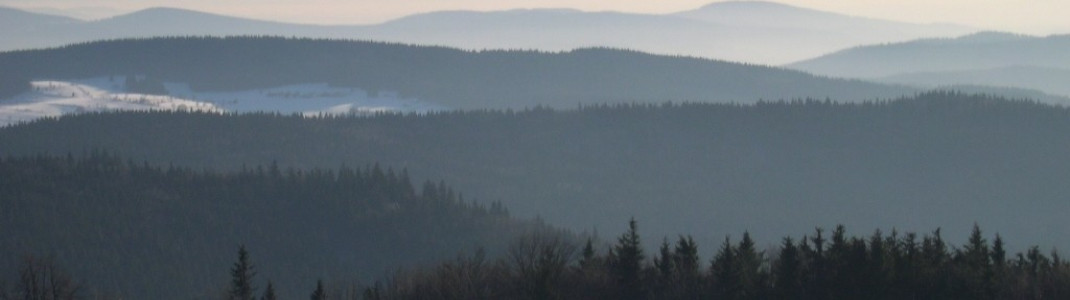 Blick über den Bayerischen Wald