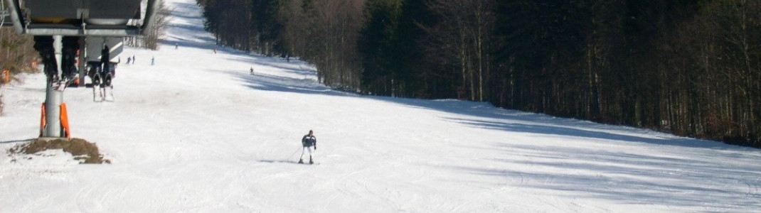 Große Almbergabfahrt
