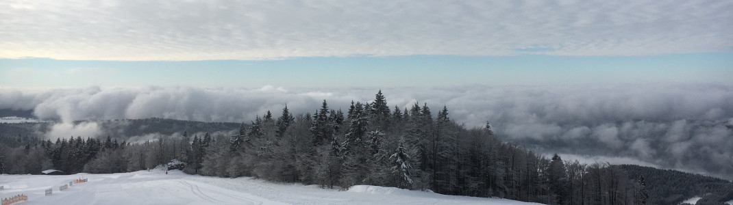 Dieser Ausblick in den Bayerischen Wald bekommen alle Besucher gratis