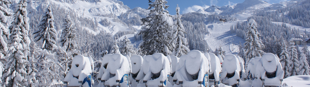 Mehr als 450 Beschneiungsanlagen sorgen für gute Schneeverhältnisse.