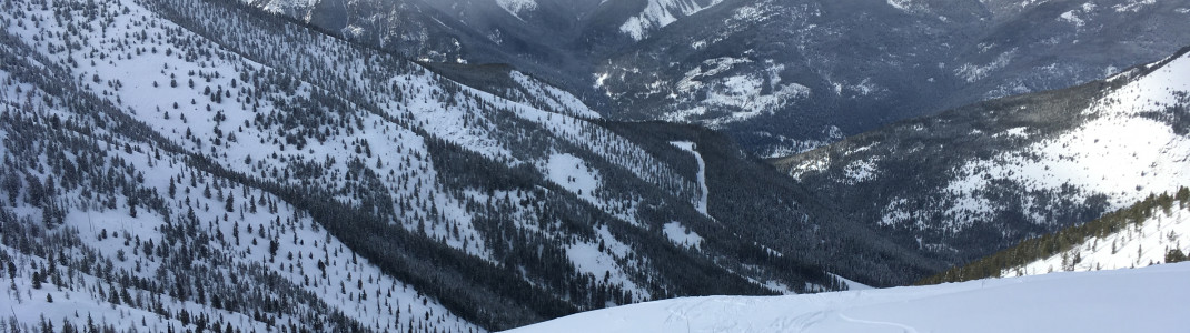 Wer unberührten Pulverschnee sucht muss schnell sein, denn sobald das Gebiet freigegeben wird, pilgern die Freeride-Jünger in Scharen in die Bowl.