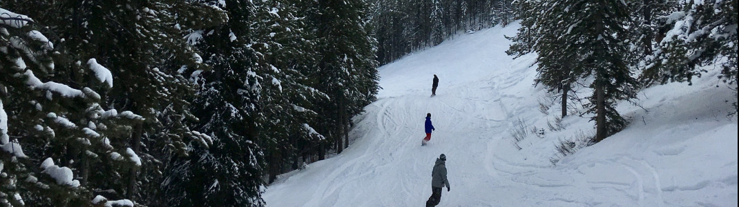 Hier darf das gesamte Areal innerhalb der Grenzen des Skigebiets befahren werden.