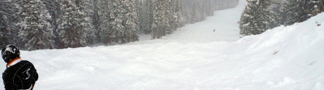 Das gesamte Skigebiet Park City befindet sich unterhalb der Baumgrenze. Tree-Skiing ist also angesagt!