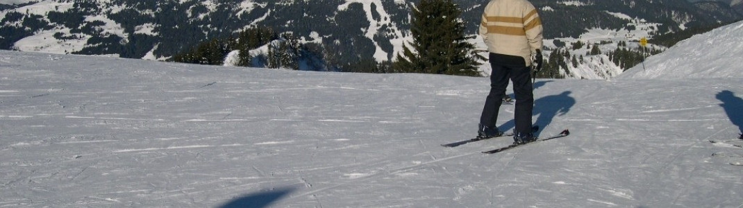 Gleich mehrere Abfahrtmöglichkeiten: Anfänger sollten sich von der Größe des Skigebietes nicht abschrecken lassen!