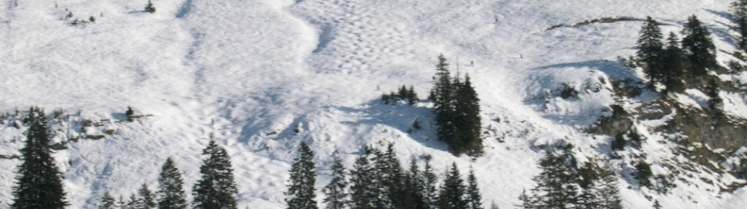 Neben den präparierten Pisten finden sich Naturbuckelpisten und Tiefschneeabfahrten (Lawinensituation beachten!!!)