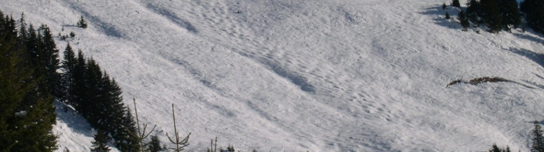 Das Skigebiet gehört zu den familienfreundlichsten des Landes