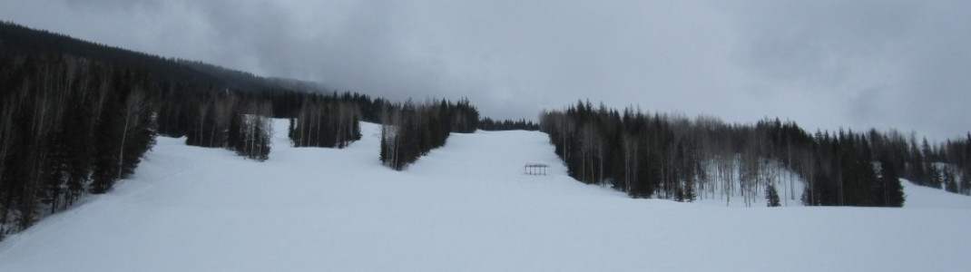 Blick auf die Pisten rund um die "Aspen Glades"!