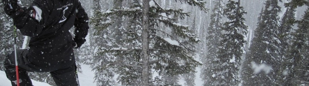 Neben der Vertigo in den "Separate Reality Glades"!