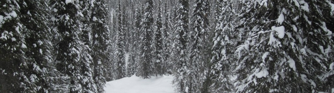 Mitten in den "Beauty Glades"!