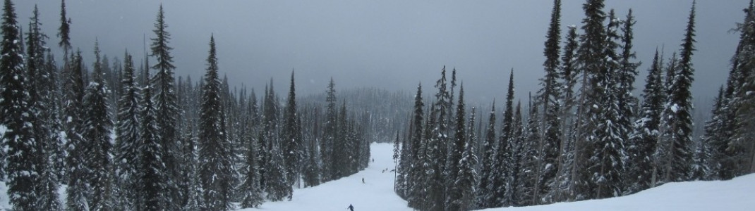 Blaue Piste "Burn Down" beim Sessellift "The Ripper"!