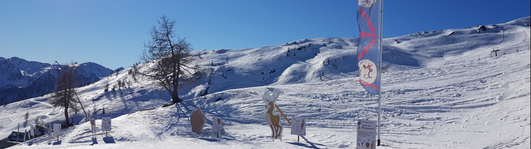 An der Familienabfahrt können die Kids die Tiere des Winterwalds entdecken.
