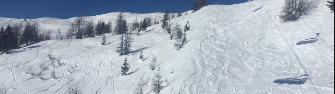 Unter den Sessellifte ist wie gewöhnlich der ein oder andere Freeride unterwegs