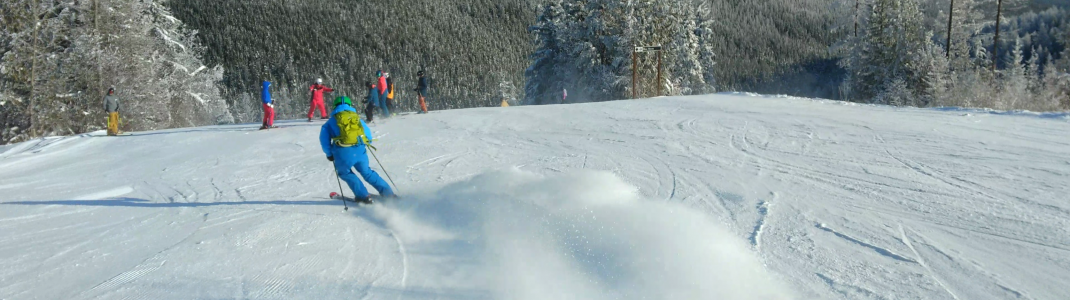 Genügend Schnee für Schwünge auf präparierten Pisten ist in der Back Side auch früh in der Saison vorhanden