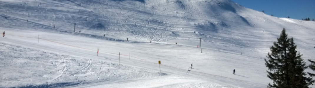 Das weitläufige Areal lockt Wintersportler!