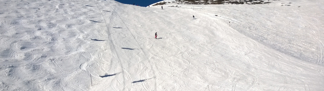 An der Buckelpiste am Hornlift im Alpbachtal lässt es sich gut wedeln.