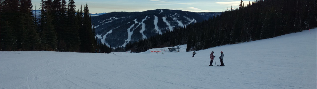 Anfängertaugliche Pisten sind über das komplette Skigebiet verstreut