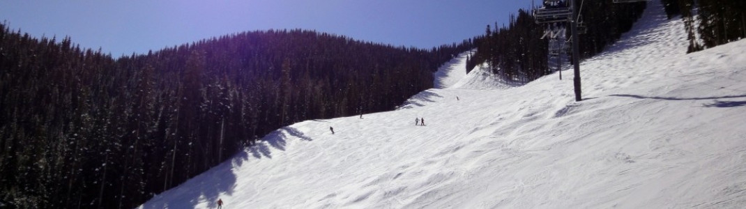 Am Plunge Lift (Nr.9) hat man die Wahl zwischen super steilen, aber gut präparierten Pisten (hier im Bild die Bushwacker Abfahrt links) und höchst anspruchsvollen Buckelpisten (hier im Bild die Double