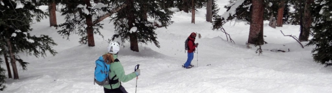 Tree Skiing in "Sully´s" in der Nähe der Bergstation des Plunge Lifts (Nr. 9)!