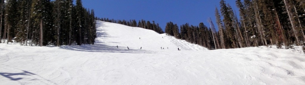 Blick auf die Piste Mammoth am Plunge Lift (Nr. 9)!