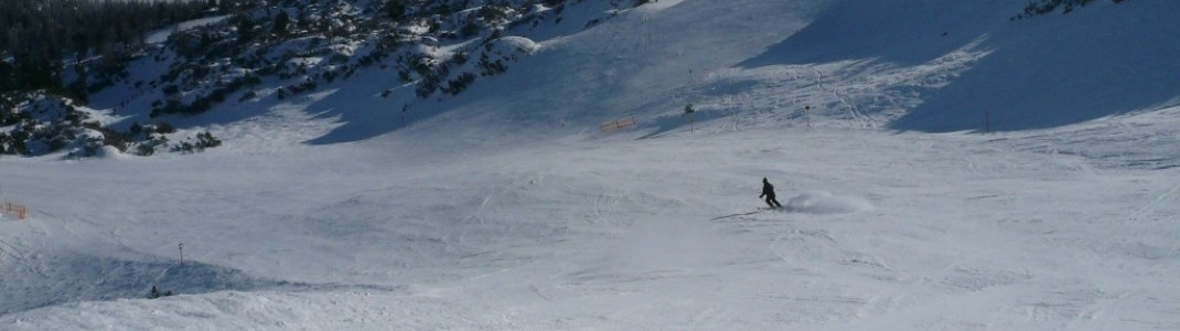 Almabfahrt (6) (Lermoos)
