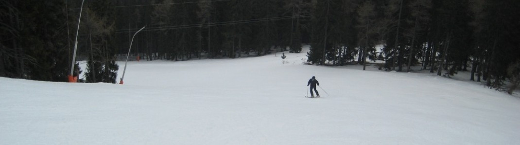 Piste 14 am Sonnenleitenlift